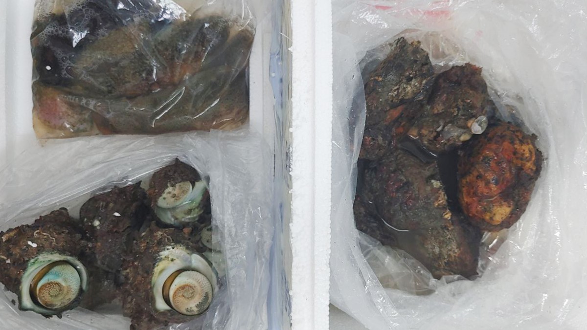 0b0128914ad5735330822d170295f8eb_1653533