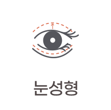 눈성형