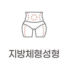 지방체형성형